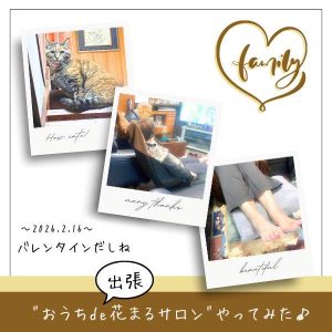 仲良くない父へタッチケア。さてどうなる!?